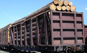 Flatcar 13-401/13-4012 (М-1555)